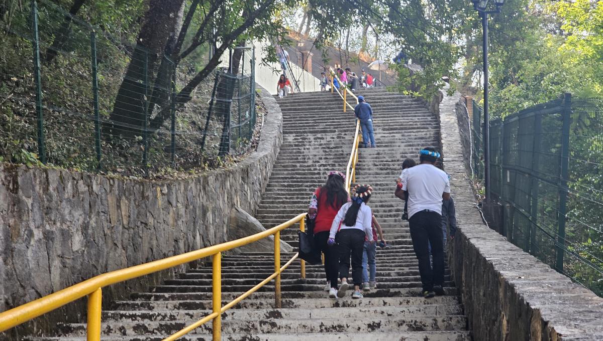Subida a la Virgen de Chalma, El Ahuehuete Ocuilan