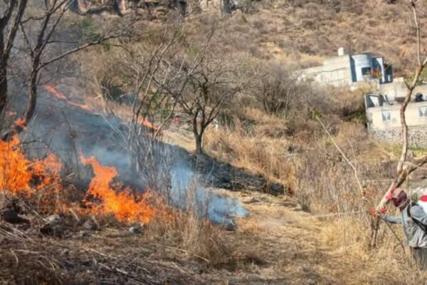 Incendio en Chalma 2025