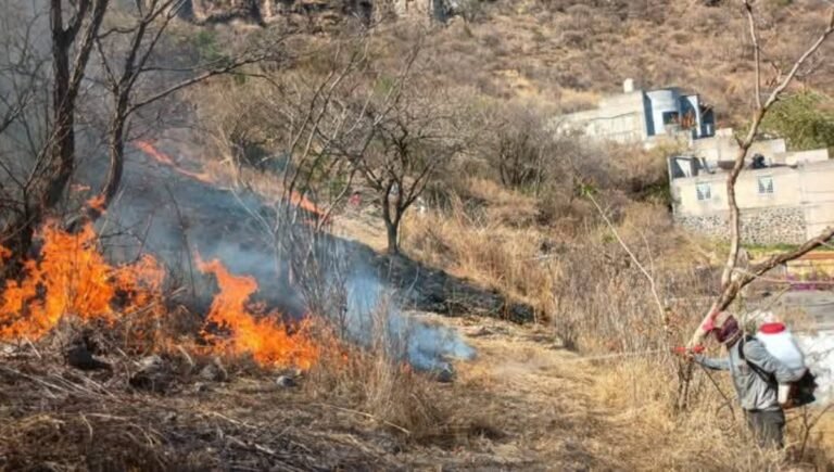 Incendio en Chalma 2025